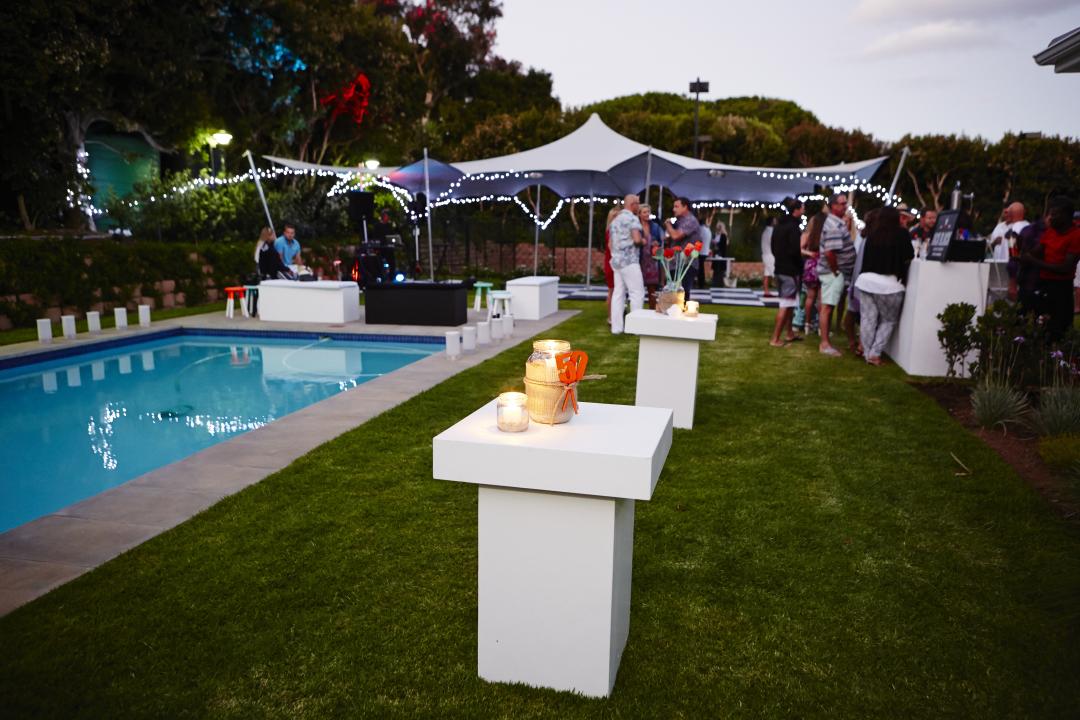 audrey cat sitting blagnac garde de chat à domicile